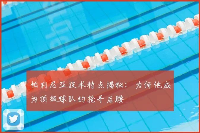 帕利尼亚技术特点揭秘：为何他成为顶级球队的抢手后腰