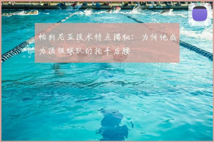 帕利尼亚技术特点揭秘：为何他成为顶级球队的抢手后腰